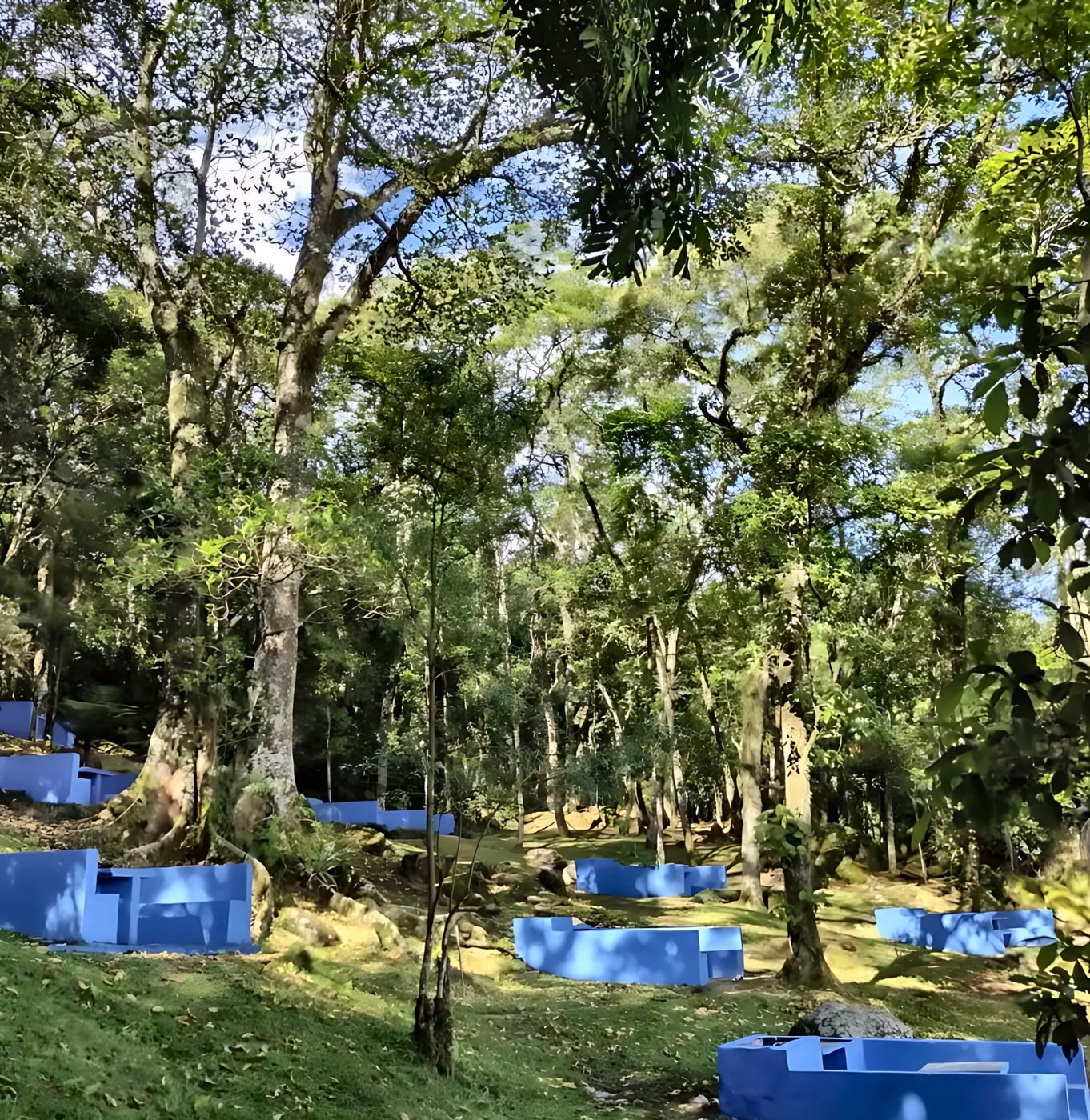 Churrasqueiras individuais no bosque